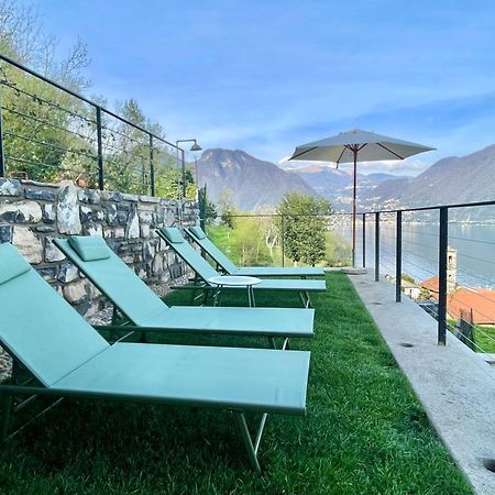 Il Noce Lake View Apartment Lezzeno Zewnętrze zdjęcie