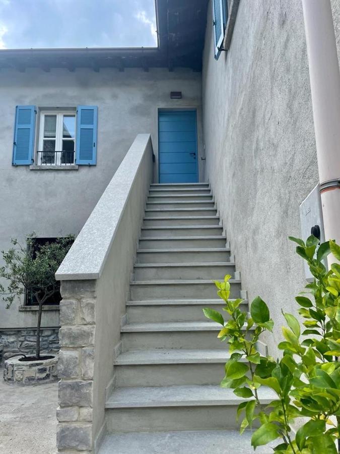 Il Noce Lake View Apartment Lezzeno Zewnętrze zdjęcie