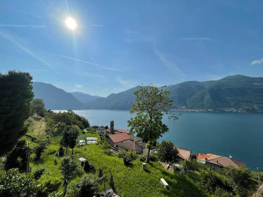 Il Noce Lake View Apartment Lezzeno Zewnętrze zdjęcie