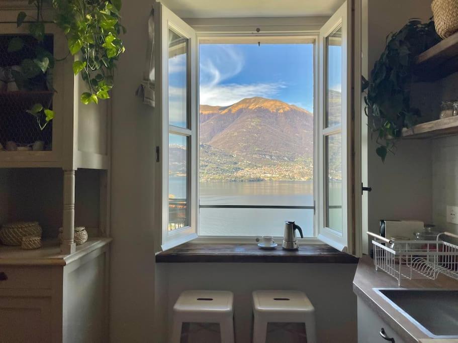 Il Noce Lake View Apartment Lezzeno Zewnętrze zdjęcie
